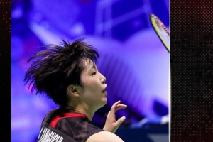 从双方的历 从双方的历